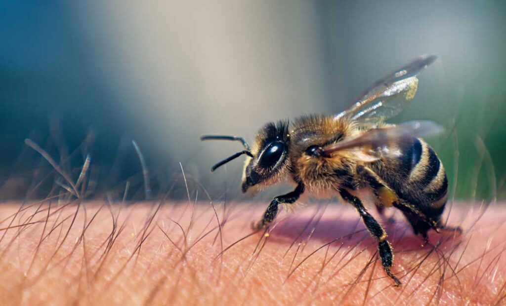 Wat doet honing voor jouw huid?